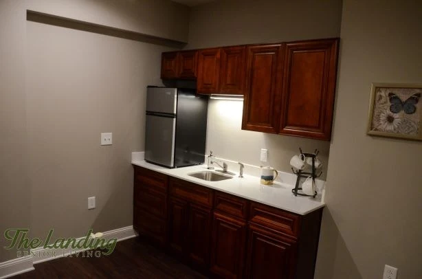 Image of The Landing of Bogart (7)