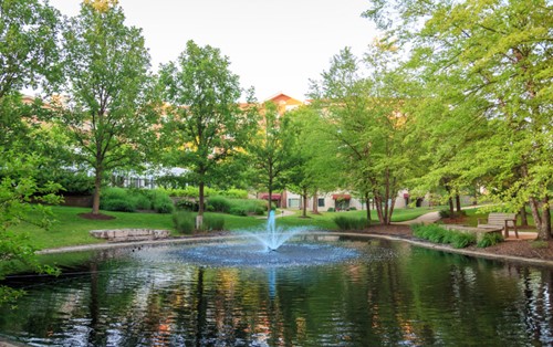 Image of Sedgebrook Senior Living (3)