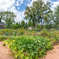 Image of Lake Forest Place (2)