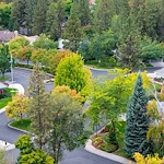 Image of The Forest Estates South Hill (4)