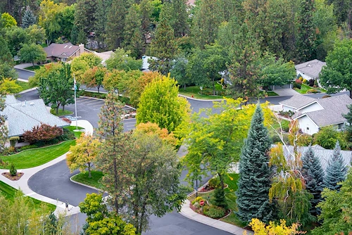 Image of The Forest Estates South Hill (4)