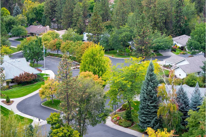 Image of The Forest Estates South Hill (4)