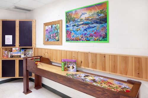 PruittHealth Skilled Nursing & Rehabilitation Center Senior Care in Blue Ridge, Georgia game room