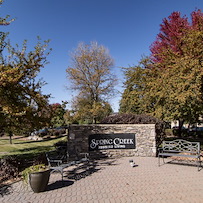 Image of Edgewood Spring Creek Eagle (2)