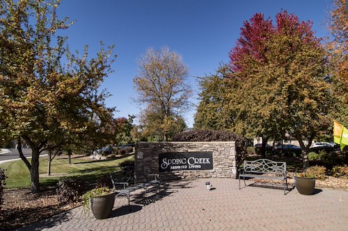 Image of Edgewood Spring Creek Eagle (2)