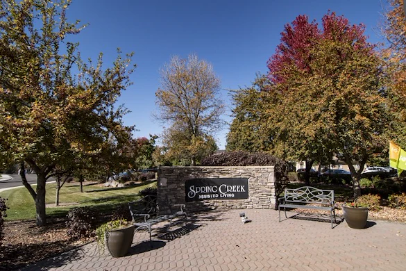 Image of Edgewood Spring Creek Eagle (2)