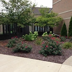 Image of Holt Heritage Village (2)