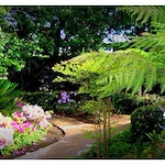 Image of Sun & Sea Manor (1)