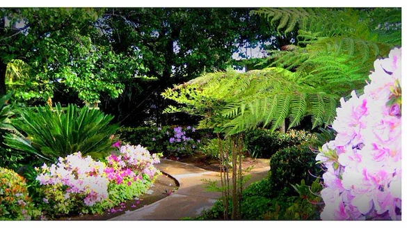 Image of Sun & Sea Manor (1)