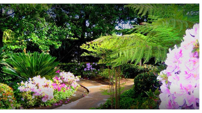 Image of Sun & Sea Manor (1)