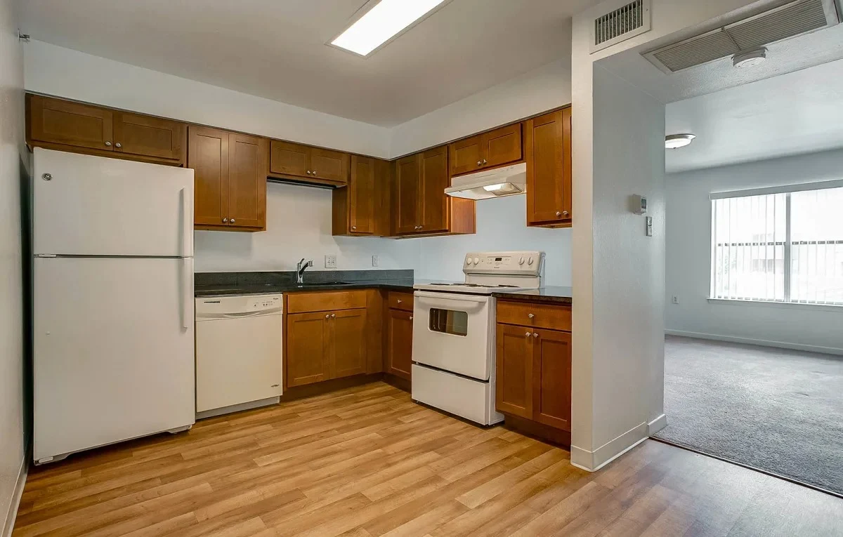 Image of Silver Gardens (10)