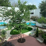 Image of Providence Living at Maitland (3)