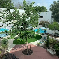 Image of Providence Living at Maitland (3)