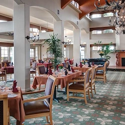 Image of Amber Lights (3)