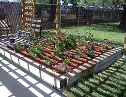 Image of Anciano Tower (3)