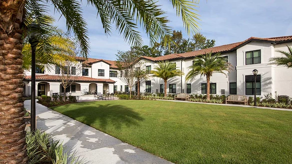 Image of Starling at San Jose (4)