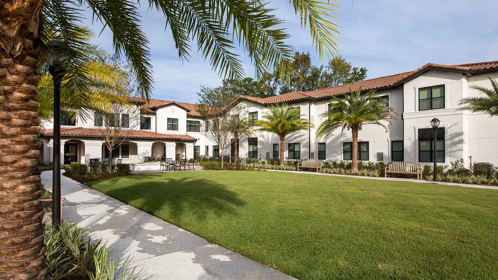 Image of Starling at San Jose (4)