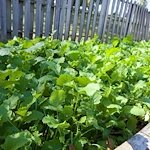 Image of Meadowbrook Healthcare & Rehabilitation Center (5)