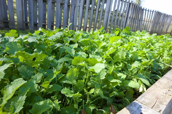 Image of Meadowbrook Healthcare & Rehabilitation Center (5)