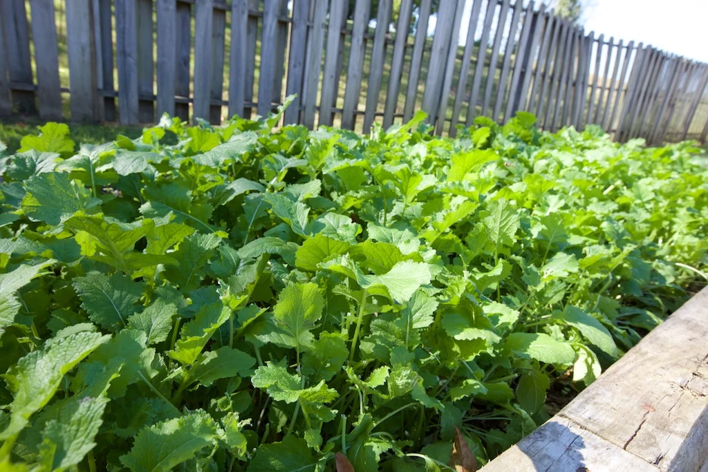 Image of Meadowbrook Healthcare & Rehabilitation Center (5)