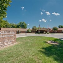 Image of Pecan Tree Rehab And Healthcare Center (1)