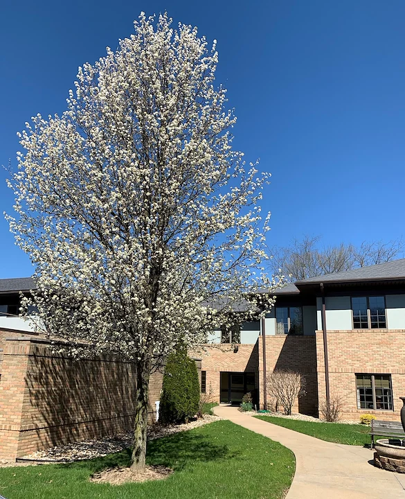 Image of Park Village Assisted Living North (2)