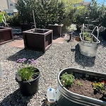 Image of Bridger Peaks Village (5)