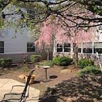 Image of Cambridge Village Personal Care Home (2)