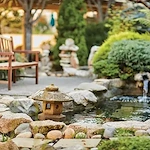 Image of Canterbury Woods (2)