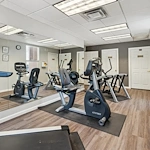 Image of Ventana De Vida (5)