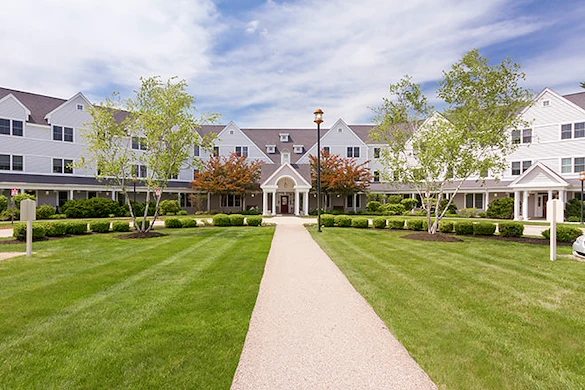 Image of Brookdale Spruce Wood (1)