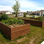 Image of Clary Crossing Senior (5)