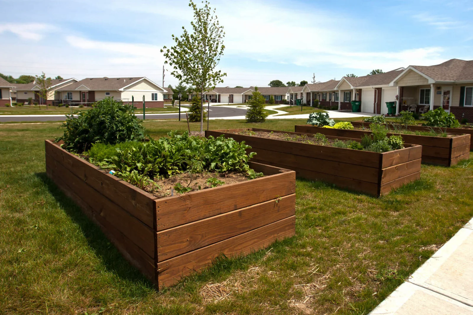 Image of Clary Crossing Senior (5)