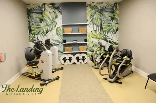 Image of The Landing of Bogart (4)