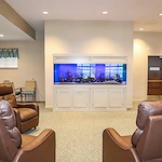 Image of Traditions of Deerfield (7)