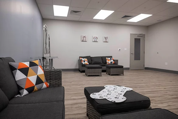 Image of Vita of New Whiteland Senior Living (4)