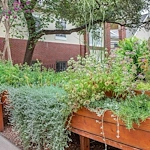 Image of Brookdale Westlake Hills (8)