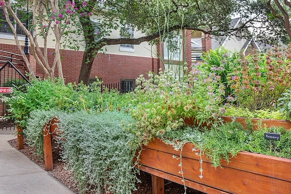 Image of Brookdale Westlake Hills (8)