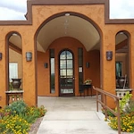 Image of Lemon Tree (2)