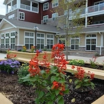 Ashwood Meadows Independent Living Hawthorn Senior Living in Johns Creek, Georgia outdoor flower garden landscaping
