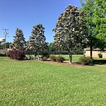 Image of England Oaks at England Airpark (3)