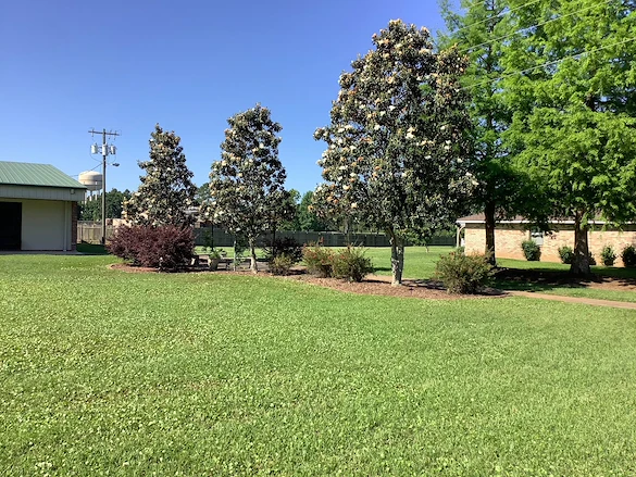 Image of England Oaks at England Airpark (3)