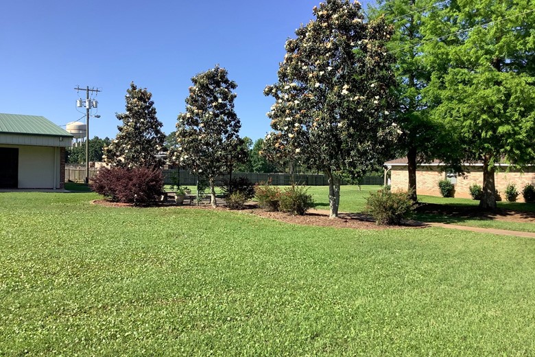 Image of England Oaks at England Airpark (3)