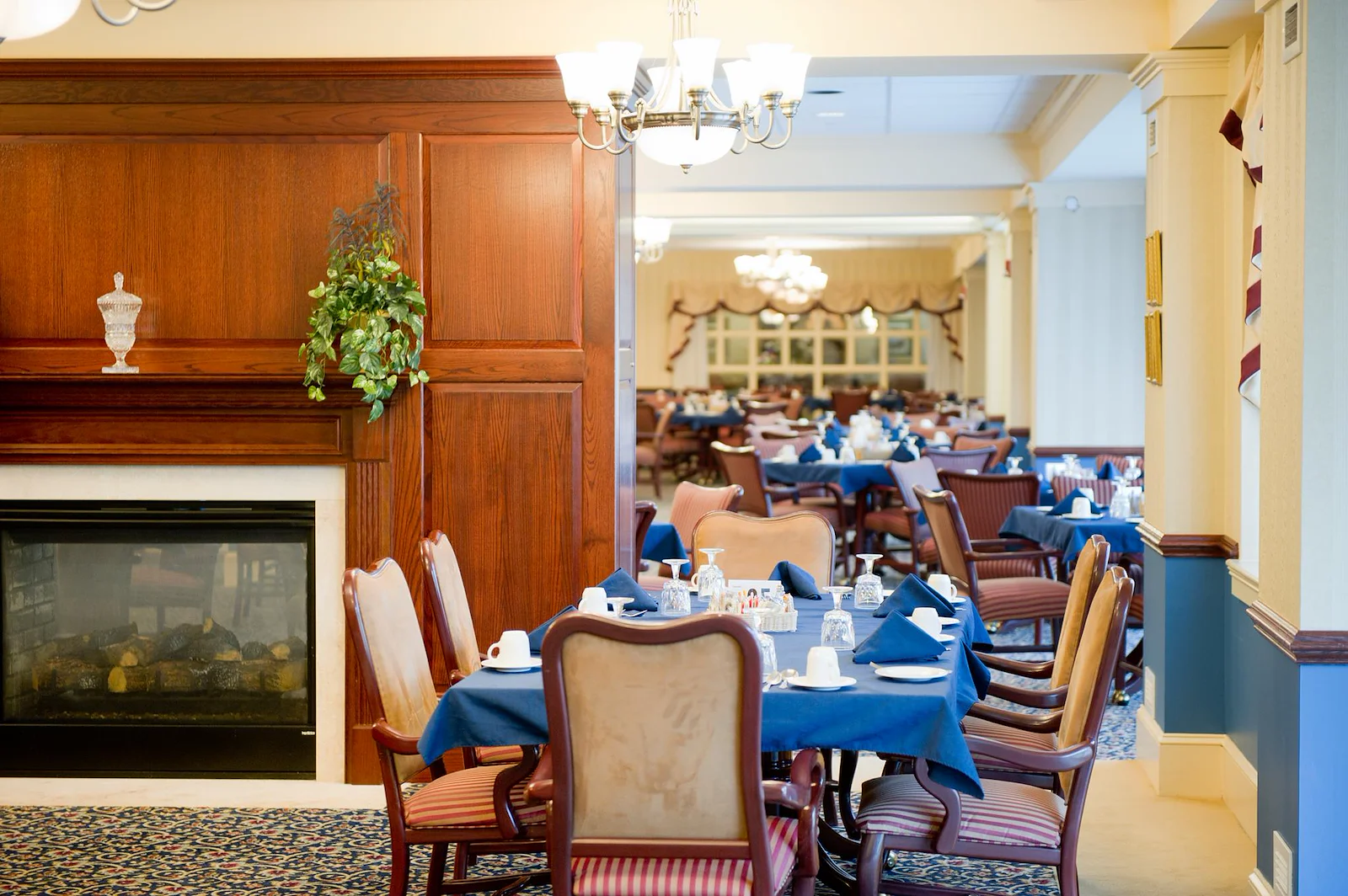 Image of Elm Terrace Gardens Personal Care (2)