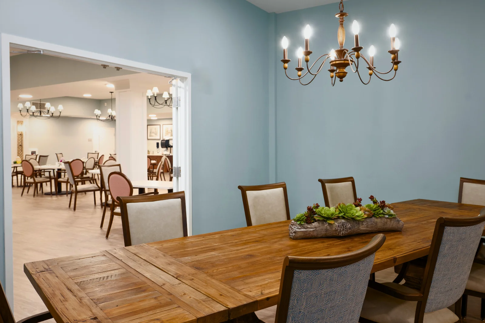 Image of Sunflower Springs of Lake Wylie (4)