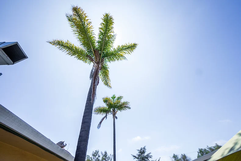 Image of Watsonville Post Acute Center (3)
