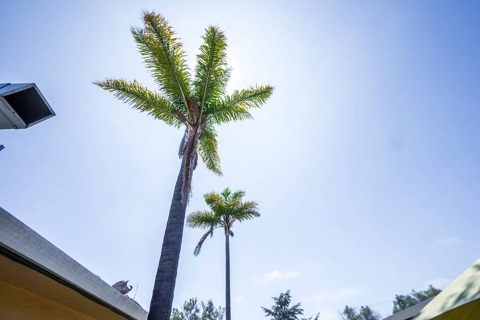 Image of Watsonville Post Acute Center (3)