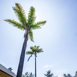Image of Watsonville Post Acute Center (3)