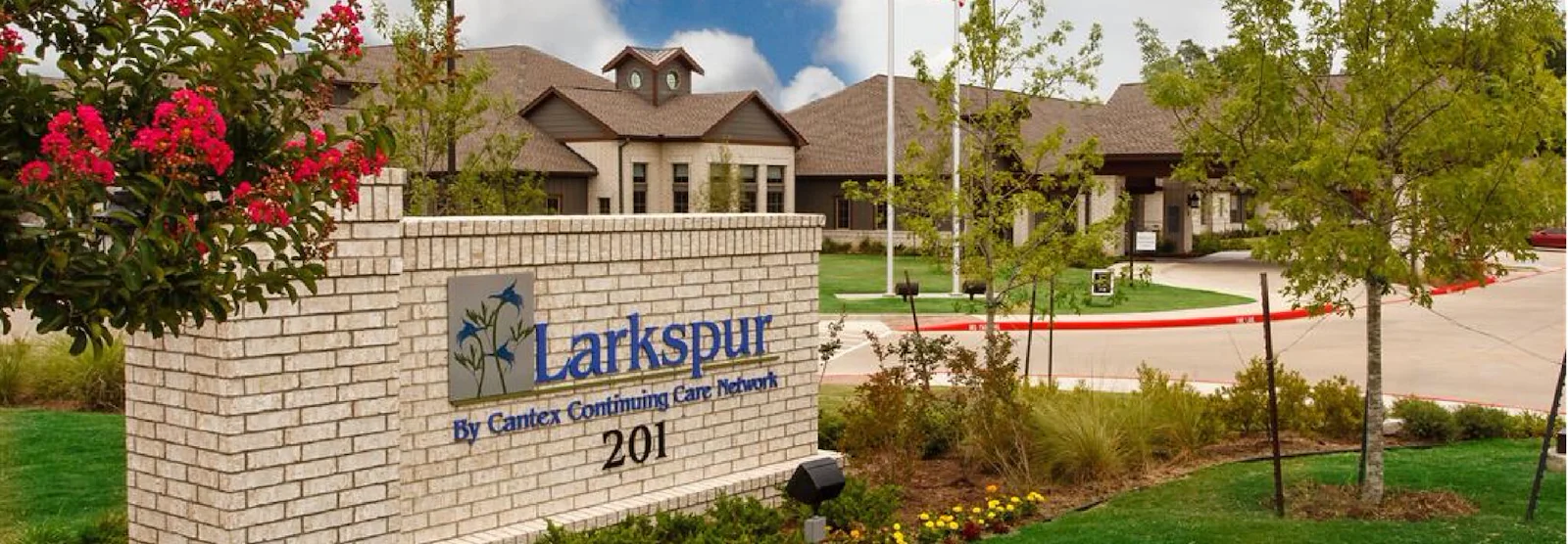 Image of Larkspur (1)