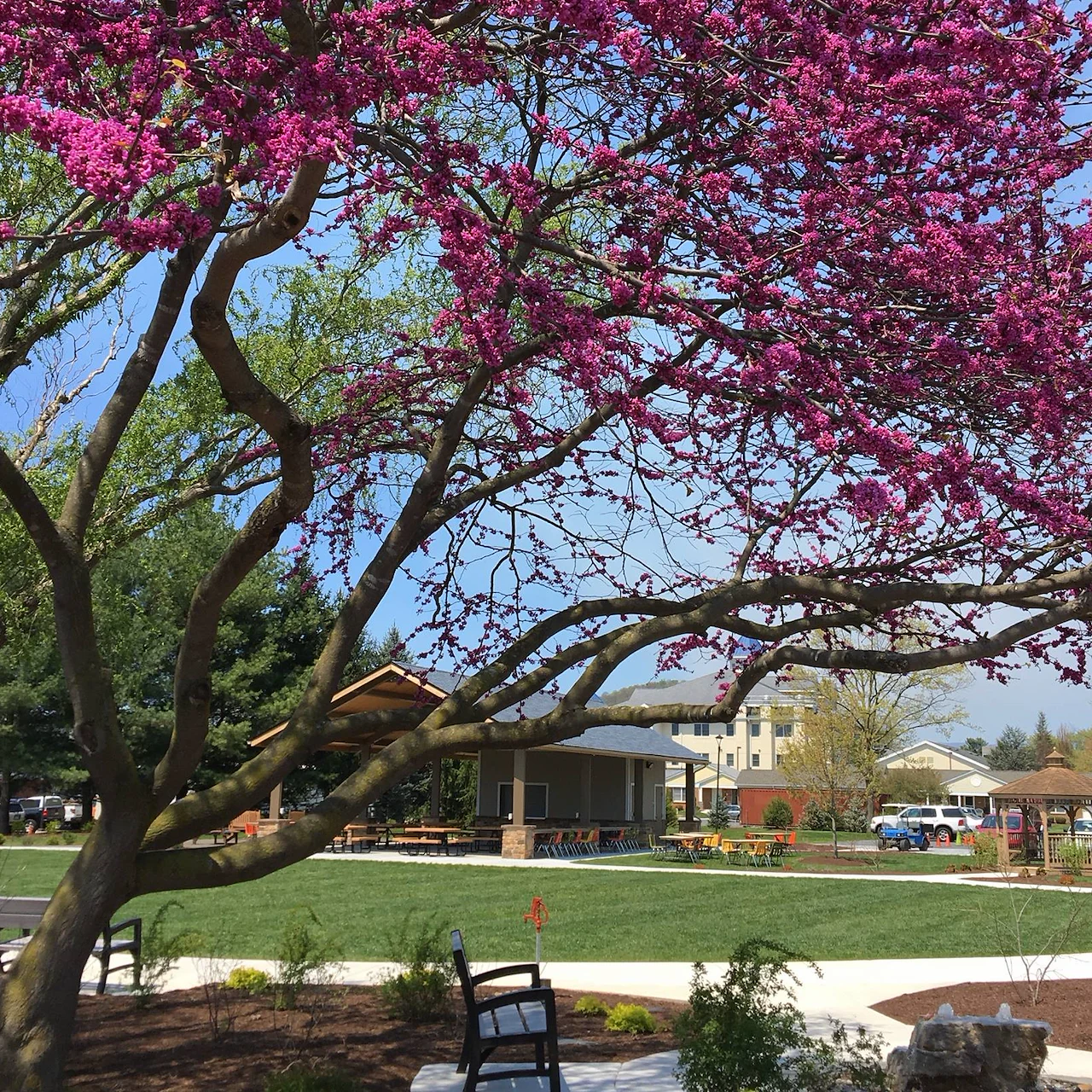 Image of Bridgewater Retirement Community (2)